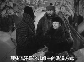 野性的呼唤 图8