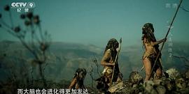 人類溯源 圖5