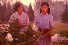 赤橙黃綠青藍紫 圖5