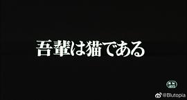 我是貓 圖9