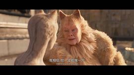 电影猫会在中国上映吗 图9