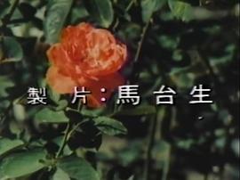 花女情深 圖2