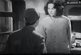 花姑娘 圖8