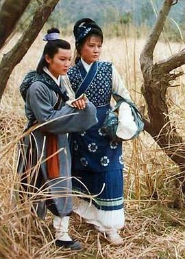桐花淚 圖7