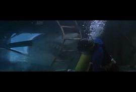 巨白鲨电影 图9