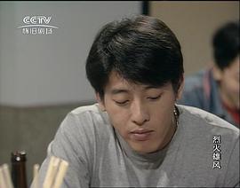 香港电视剧烈火雄风免费播放 图8