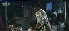 世界屋脊的太陽(yáng) 圖8