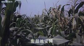 八十年代农村题材电影 图2