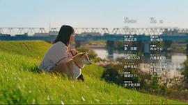 今日份的散步 圖9
