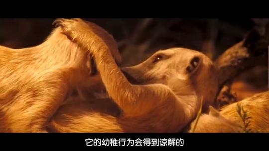 100部老電影