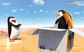 马达加斯加的企鹅快乐国王节 图6