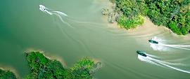 湄公河行动电影在线播放 图1