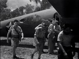 飞行堡垒电影二战影片 图3
