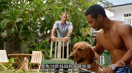夏威夷特勤組 第九季 圖4