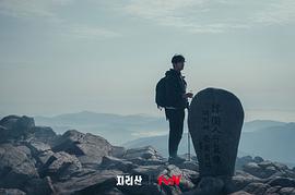 智异山在韩国哪里 图4