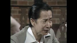 鱷魚淚 圖1