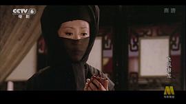 飛鳳潛龍 圖6
