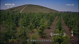 帝陵·西漢帝陵 圖3