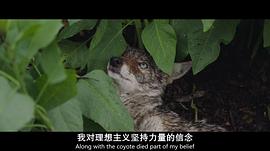 最大的小小農(nóng)場 圖8