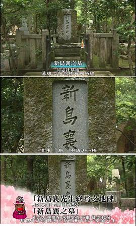 八重之櫻 圖4