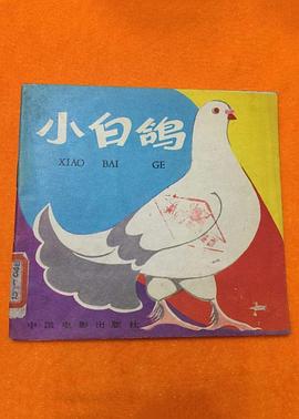 小白鴿 圖2