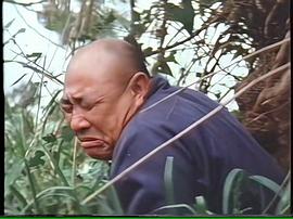 桃花戀 圖8