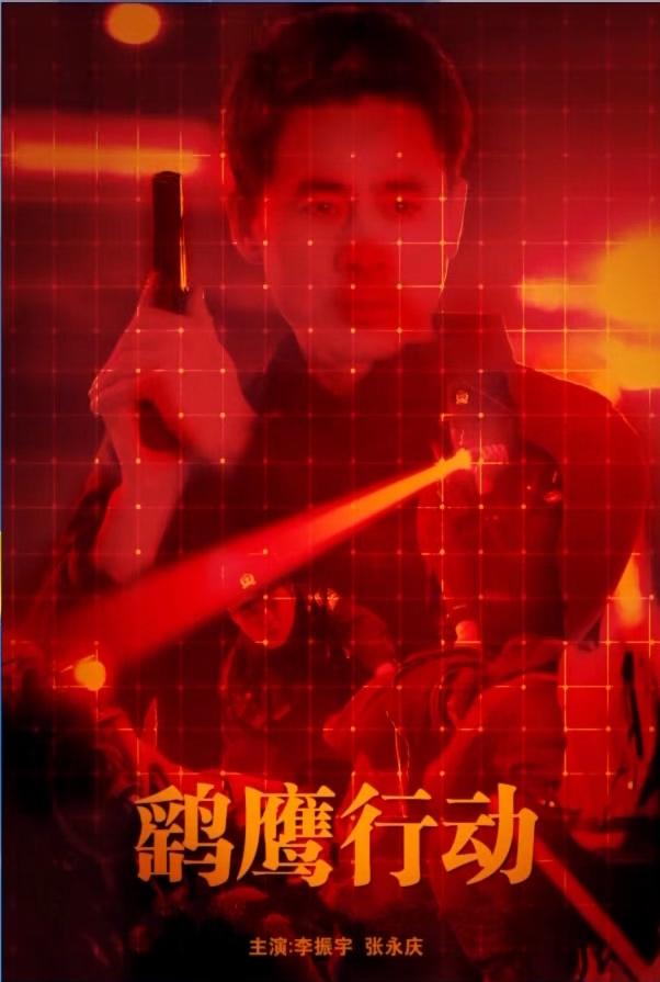 鷂鷹行動