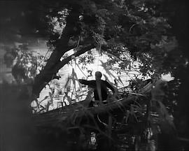 鄉(xiāng)間一日 圖4