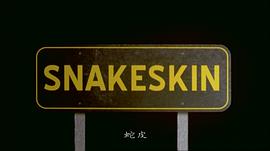 蛇皮 Snakeskin 圖4