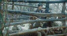 以旧上海为背景的电影 图9