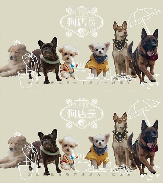 关于狗的韩国综艺