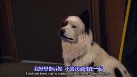 狗狗博客 第三季 圖5