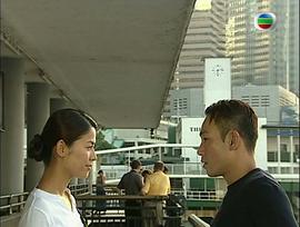 2002年中国电视剧 图3