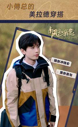 南风知我意 图2