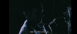 黑暗的森林 圖3