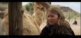 沙漠鸵鸟电影免费观看 图6