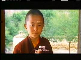 西藏小子 图9