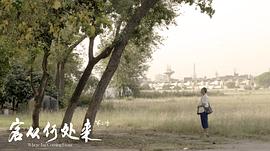 客從何處來(lái) 第二季 圖5