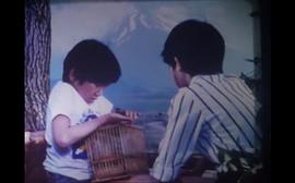栗色的小天使 圖4