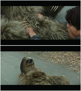 秘密動(dòng)物園 圖3