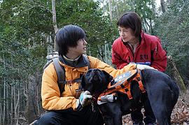 科搜研之女 第21季 圖4