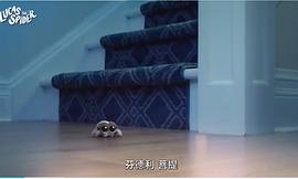 小蜘蛛盧卡斯 圖2