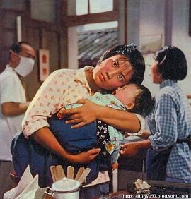 春苗 圖7
