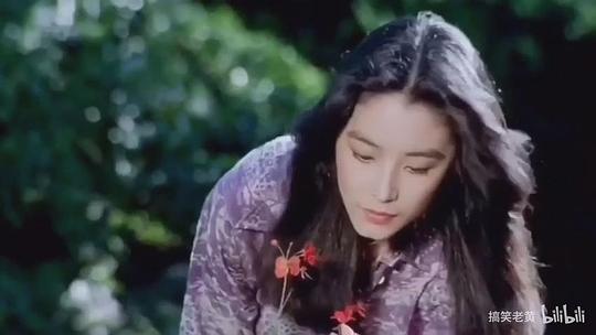 金盞花