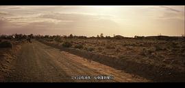 沙漠鸵鸟电影免费观看 图10