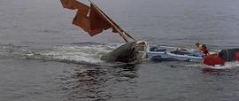 大白鲨2电影免费观看国语 图1