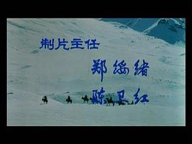沉默的冰山 圖3