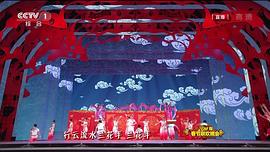 2011年中央電視臺春節(jié)聯(lián)歡晚會 圖8