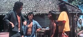 1972龙虎铁金刚 图3