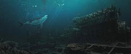 大白鲨鲨口逃生 图8
